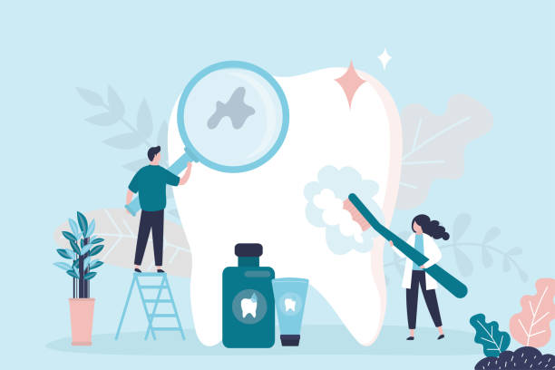 Best Traditional Braces  in Kendall West, FL